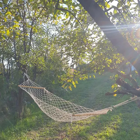 Pure Nature Lovely View House *